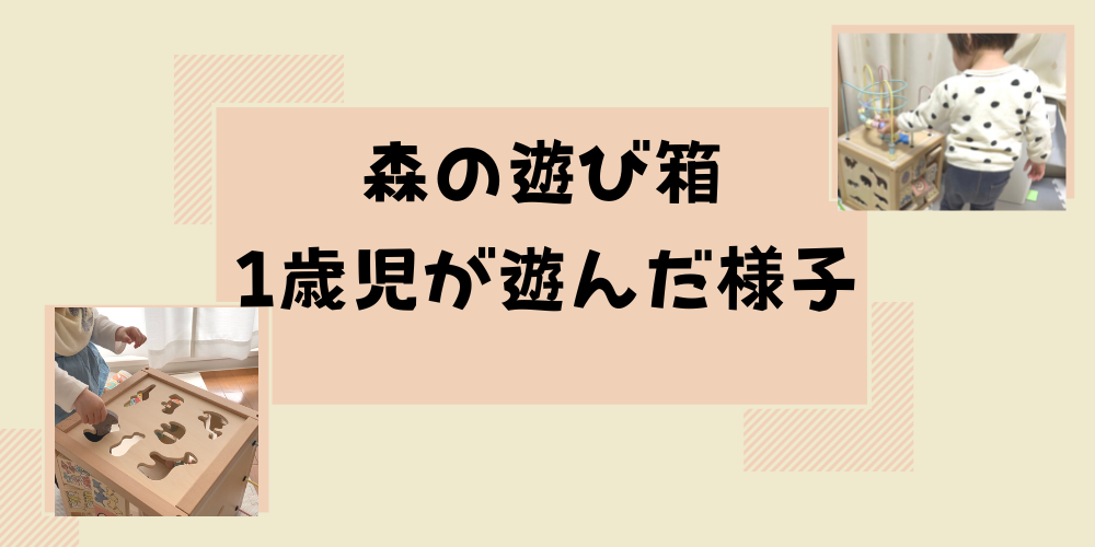 森の遊び箱口コミ